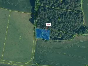 Dražba lesa, Hradiště, 638 m2