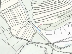 Dražba pole, Vranová Lhota, 198 m2