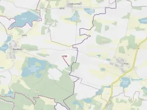 Dražba lesa, Hradiště, 1116 m2