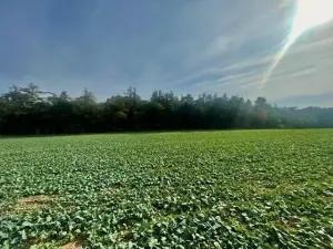 Prodej pole, Praha - Liboc, Na Padesátníku I, 24066 m2