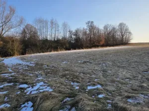 Prodej pozemku pro bydlení, Slezské Rudoltice - Koberno, 16300 m2