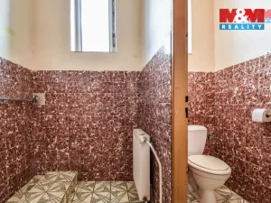 Prodej obchodního prostoru, Bílovec - Lubojaty, 500 m2