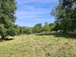 Prodej pozemku pro bydlení, Vlachovo Březí, 16463 m2