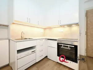 Pronájem bytu 1+1, Praha - Žižkov, Kubelíkova, 39 m2