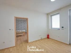 Pronájem komerční nemovitosti, Hodonín, Příční, 46 m2