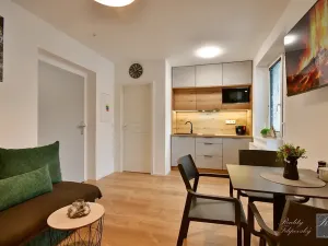 Prodej apartmánu, Kraslice, 30 m2