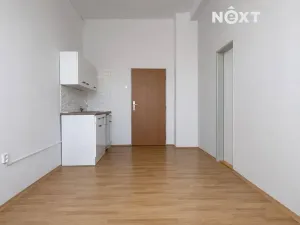 Pronájem kanceláře, České Budějovice, K. Světlé, 18 m2