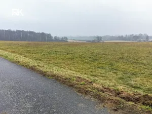 Prodej pozemku pro bydlení, Uhersko, 1000 m2