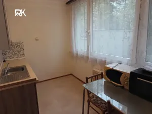 Prodej bytu 1+1, Kolín, Dělnická, 25 m2