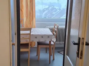 Pronájem bytu 1+1, Křižanov, 31 m2