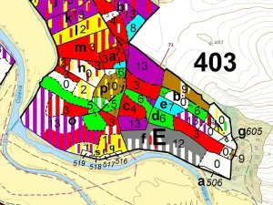 Dražba lesa, Pyšel, 6602 m2