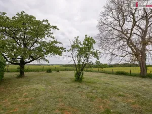 Prodej zahrady, Řepín, 1647 m2