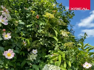 Prodej pozemku pro bydlení, Strančice, 1115 m2