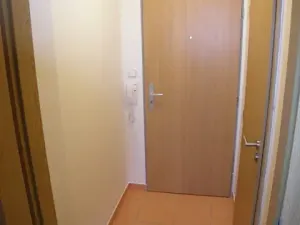 Pronájem bytu 1+kk, Brno, Božetěchova, 23 m2