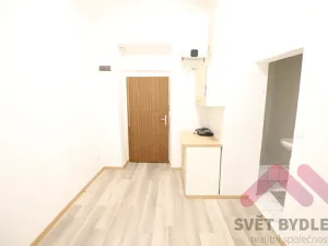 Pronájem bytu 1+kk, Praha - Žižkov, Krásova, 14 m2