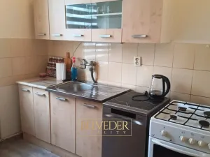 Pronájem bytu 1+1, Teplice, Americká, 38 m2