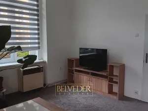 Pronájem bytu 1+1, Teplice, Americká, 38 m2