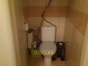 Pronájem bytu 1+1, Teplice, Americká, 38 m2