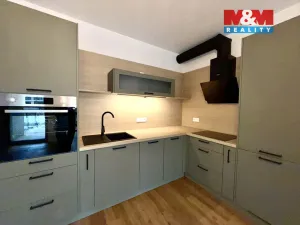 Pronájem bytu 1+kk, Brandýs nad Labem-Stará Boleslav - Brandýs nad Labem, Dřevčická, 41 m2