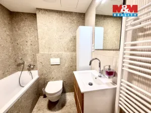 Pronájem bytu 1+kk, Brandýs nad Labem-Stará Boleslav - Brandýs nad Labem, Dřevčická, 41 m2