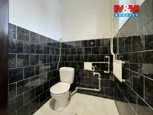 Pronájem bytu 2+kk, Uhlířské Janovice - Mitrov, 60 m2
