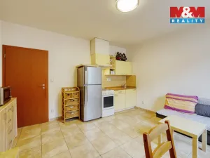 Prodej bytu 2+kk, Plzeň - Jižní Předměstí, Karlova, 42 m2