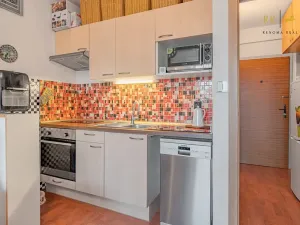 Pronájem bytu 1+kk, Brno, Opálkova, 24 m2