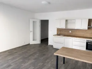 Pronájem bytu 1+kk, Liberec, U Nisy, 38 m2