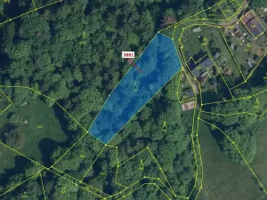 Dražba lesa, Semily, 1939 m2