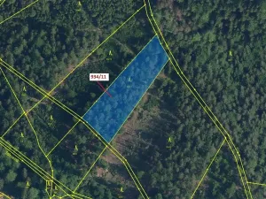 Dražba lesa, Jílové u Držkova, 3439 m2