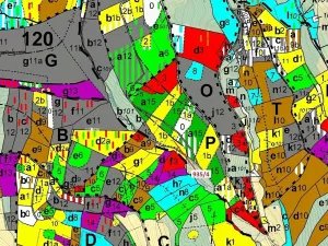 Dražba lesa, Jílové u Držkova, 3532 m2