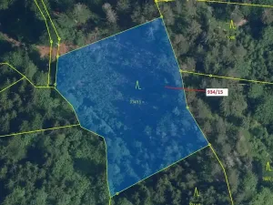 Dražba lesa, Jílové u Držkova, 3821 m2