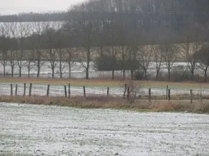 Dražba louky, Chotěšice, 11382 m2