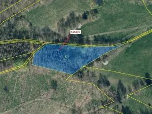 Dražba lesa, Mikulášovice, 4741 m2