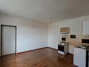 Pronájem bytu 1+1, Teplice, Československých legií, 52 m2