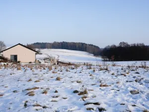 Prodej pozemku, Plesná, 913 m2