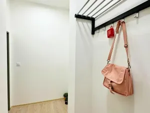 Pronájem bytu 1+kk, Brno, Koliště, 22 m2