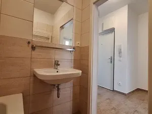 Pronájem bytu 1+1, Praha - Smíchov, Podbělohorská, 45 m2