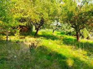 Prodej chaty, Mnichovo Hradiště, Klášterská, 12 m2