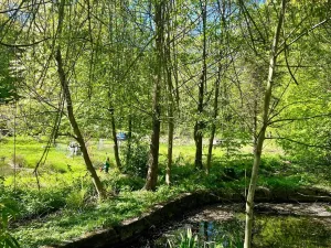 Pronájem rodinného domu, Velký Újezd, Za Obecním lesem, 80 m2