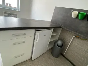 Pronájem bytu 1+1, Plzeň, Alešova, 50 m2