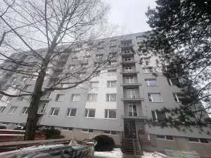 Prodej bytu 2+1, Nová Paka, K Hájku, 55 m2