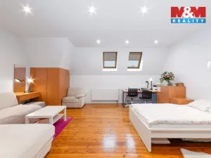 Prodej bytu 4+kk, Opava - Předměstí, Olomoucká, 155 m2