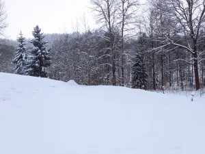 Prodej pozemku, Dlouhý Most, 8531 m2