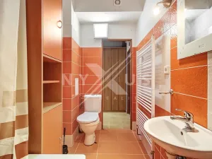 Pronájem bytu 2+kk, Břežany II, 47 m2