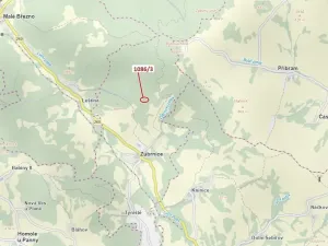 Dražba lesa, Zubrnice, 18 m2