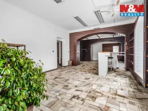 Prodej obchodního prostoru, Studenec, 801 m2