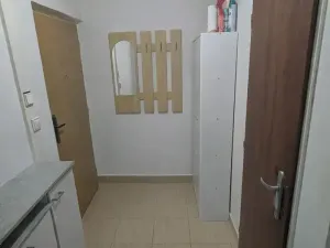 Prodej bytu 2+kk, Most, Josefa Ševčíka, 40 m2