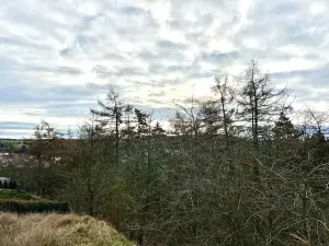 Prodej zahrady, Nové Strašecí, Sukova, 934 m2