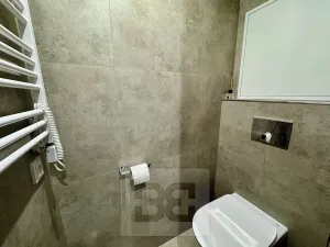 Pronájem bytu 1+kk, Zlín, Ševcovská, 30 m2